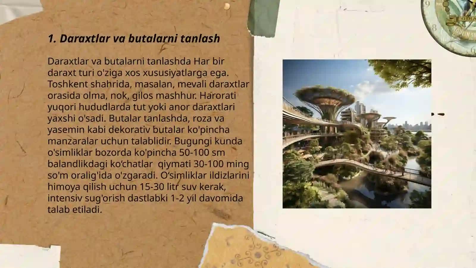 Daraxt va butalarda shakllantiriladigan yashil kompozitsiyalar 3