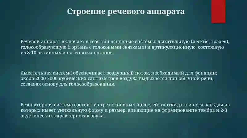 Речевой аппарат и роль органов речи в звукообразовании 3