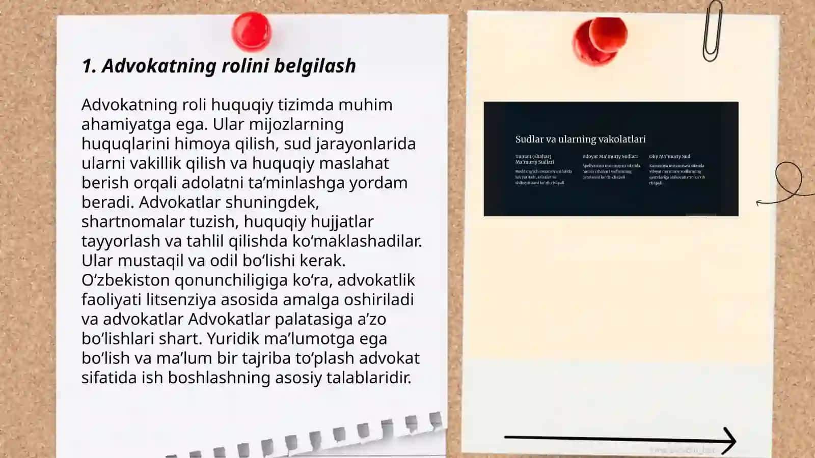 Mamuriy sud ishlarini yuritishda advokatning ishtiroki 3