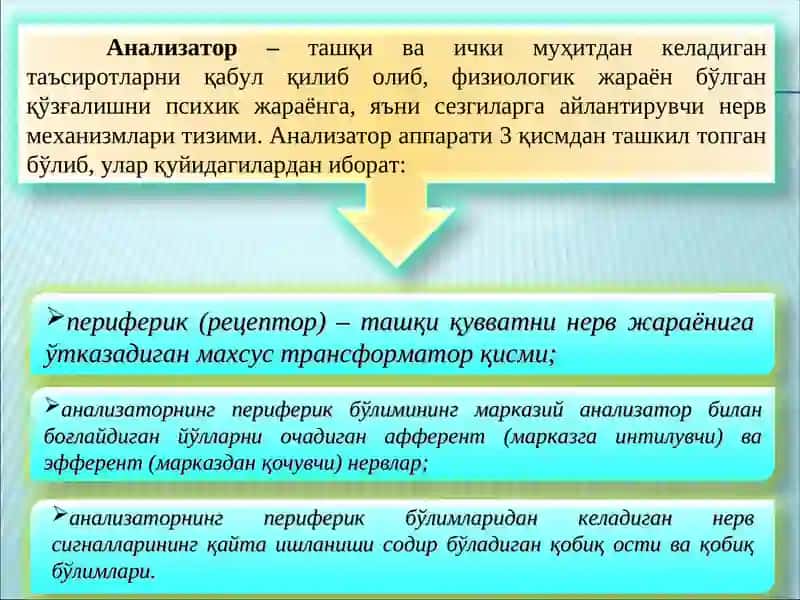 Сезги 3