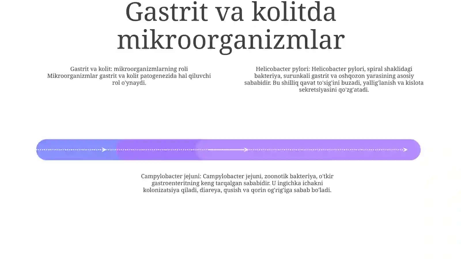 Gastirid Oshqozon- Ichak Yarasi Va Kolit Kelib Chiqishida Mikroorganizmlarning Ahamiyati, Patogenezi, Labaratoriya Tashhisi 3