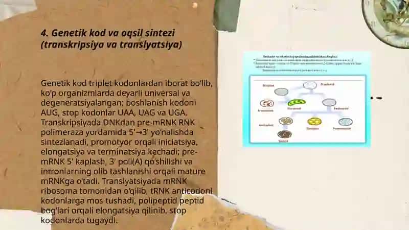 Tibbiy biologiya umumiy genetika 3