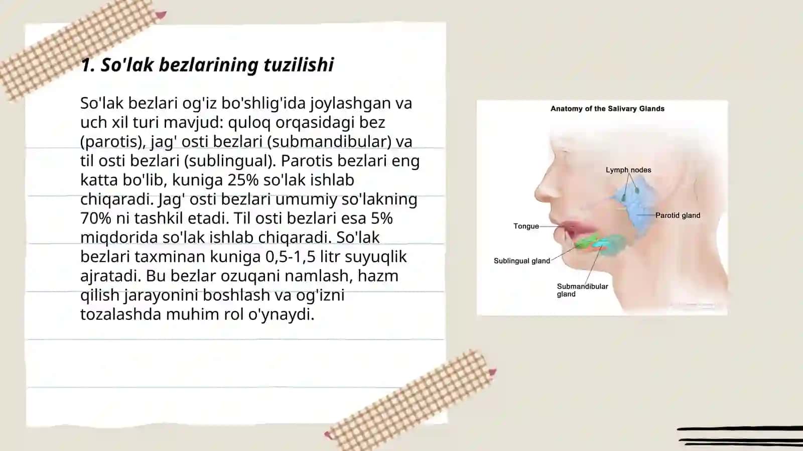 So'lak bezlari fiziologiyasi va so'lak ajralishining boshqarilishi 3
