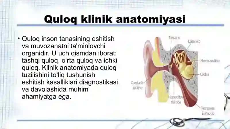 Eshitish qobiliyatini o’rganish va tekshirish usullari 3