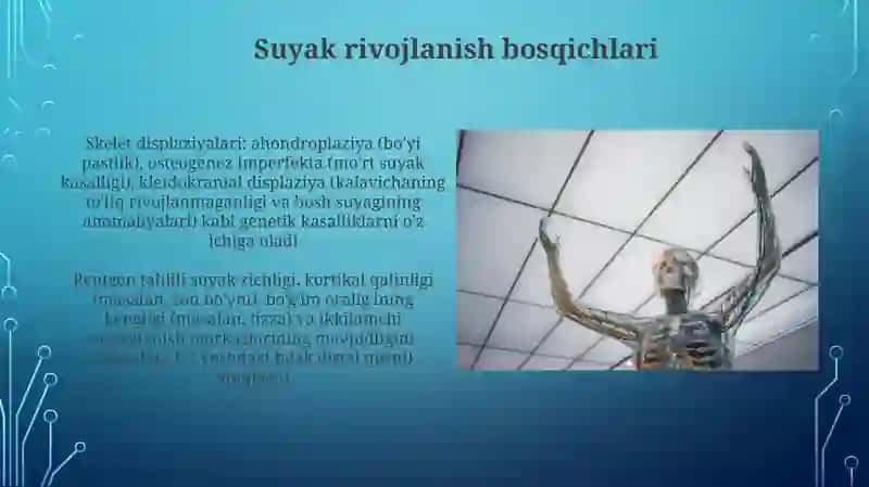Skelet suyaklarining rentgenanatomiyasi 3