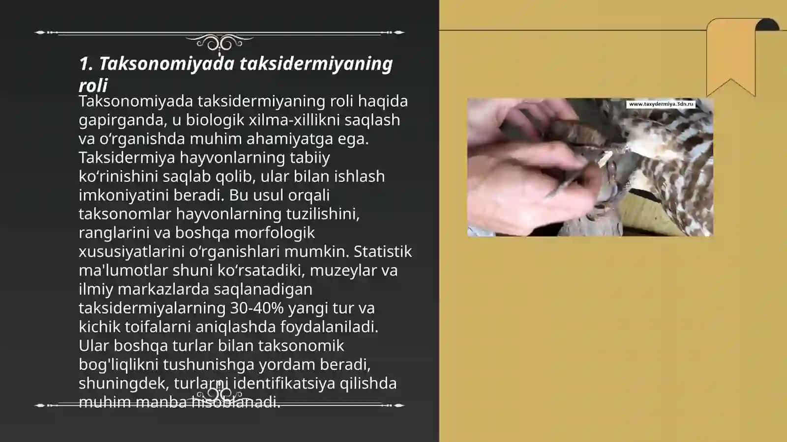 Taksidermiya va terilarni konserviyalash 3