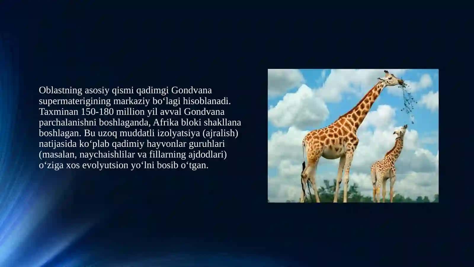 efiopiya faunistik oblasti hayvonot dunyosi 3