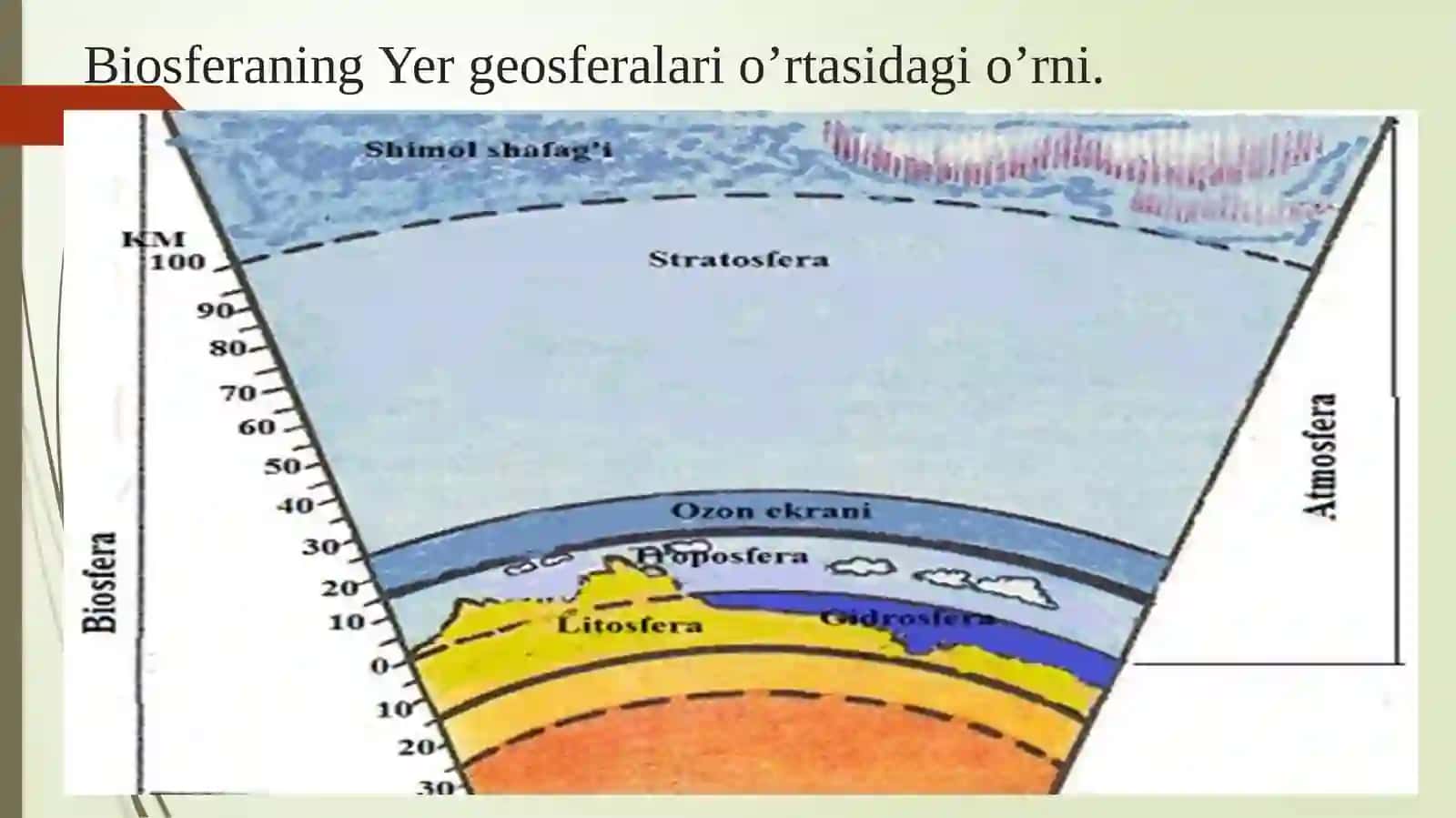 Molekulyar ekologiya va uning biosfera ta’limotidagi o’ni 3