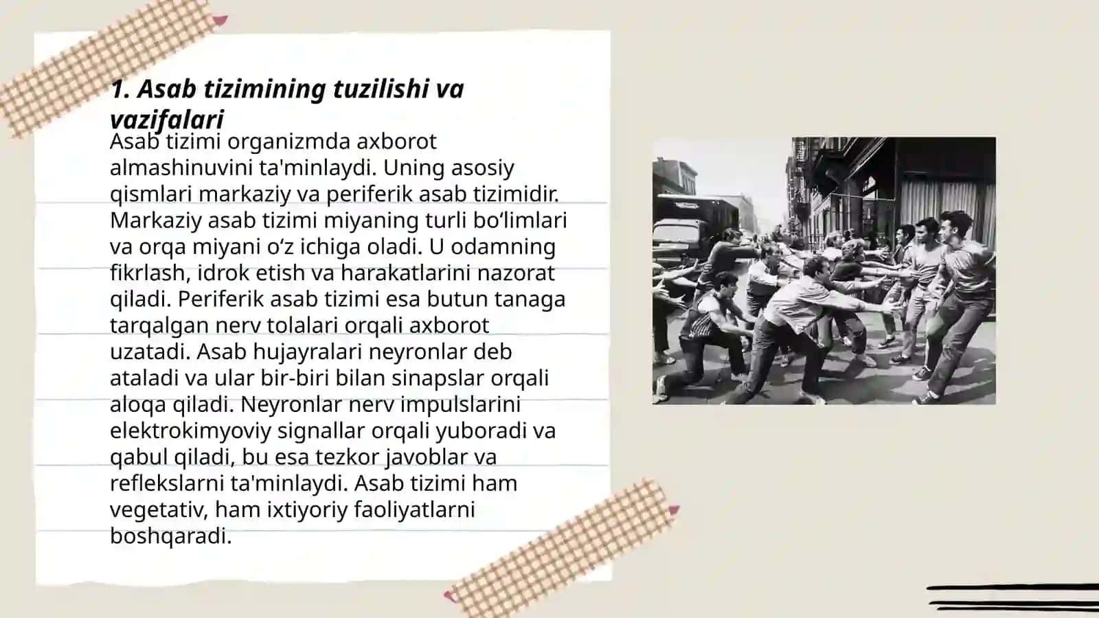 Nerv tizimining ahamiyati va gigiyenasi 3