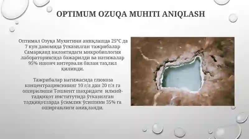 Optimum Ozuqa Muhiti Aniqlash 3