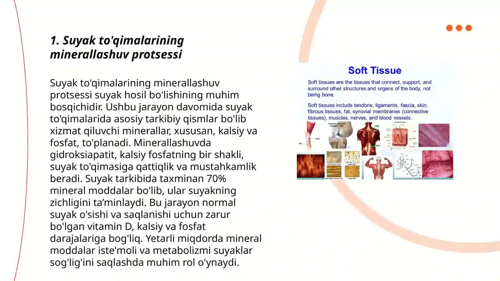 Suyak to'qimalarining mineral tarkibi va regeneratsiyasi 3