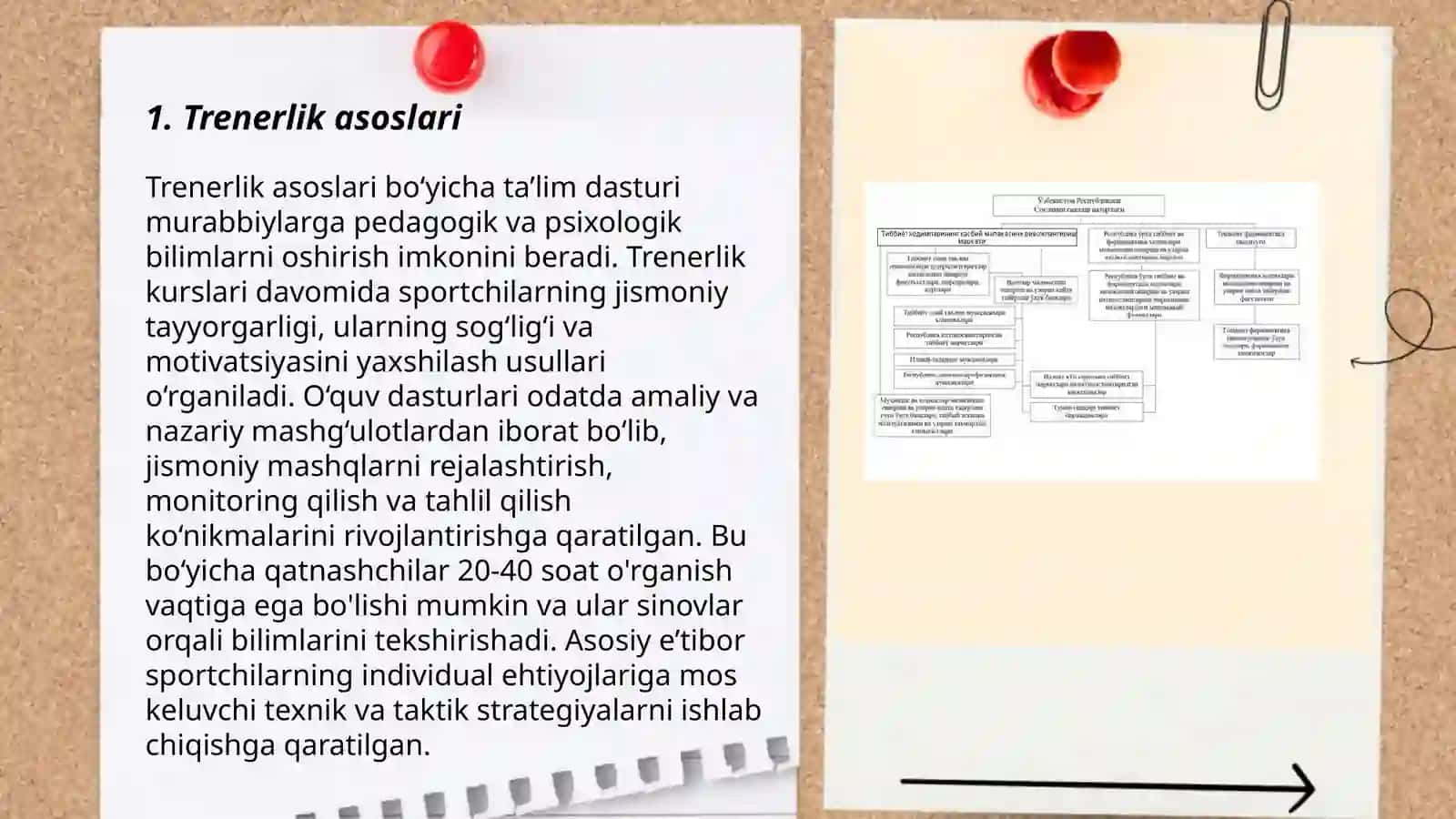 MT2 Trenerlami tayyorlash va malakasini oshirish 3