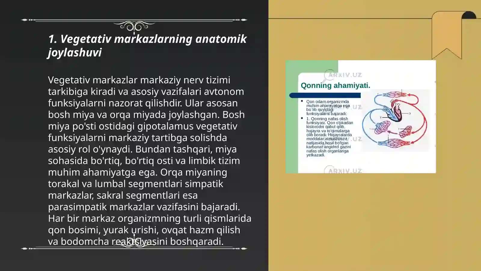 Vegetativ oliy markazlar va ularning funktsional ahamiyati 3