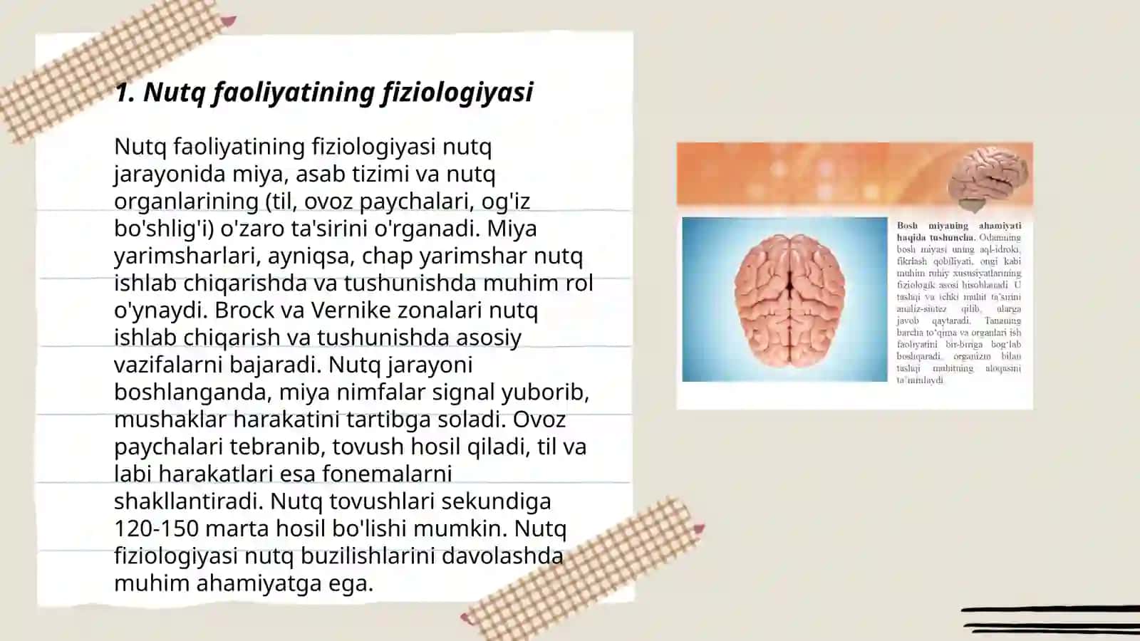 Nutq faoliyatining norma va patologiyasi 3