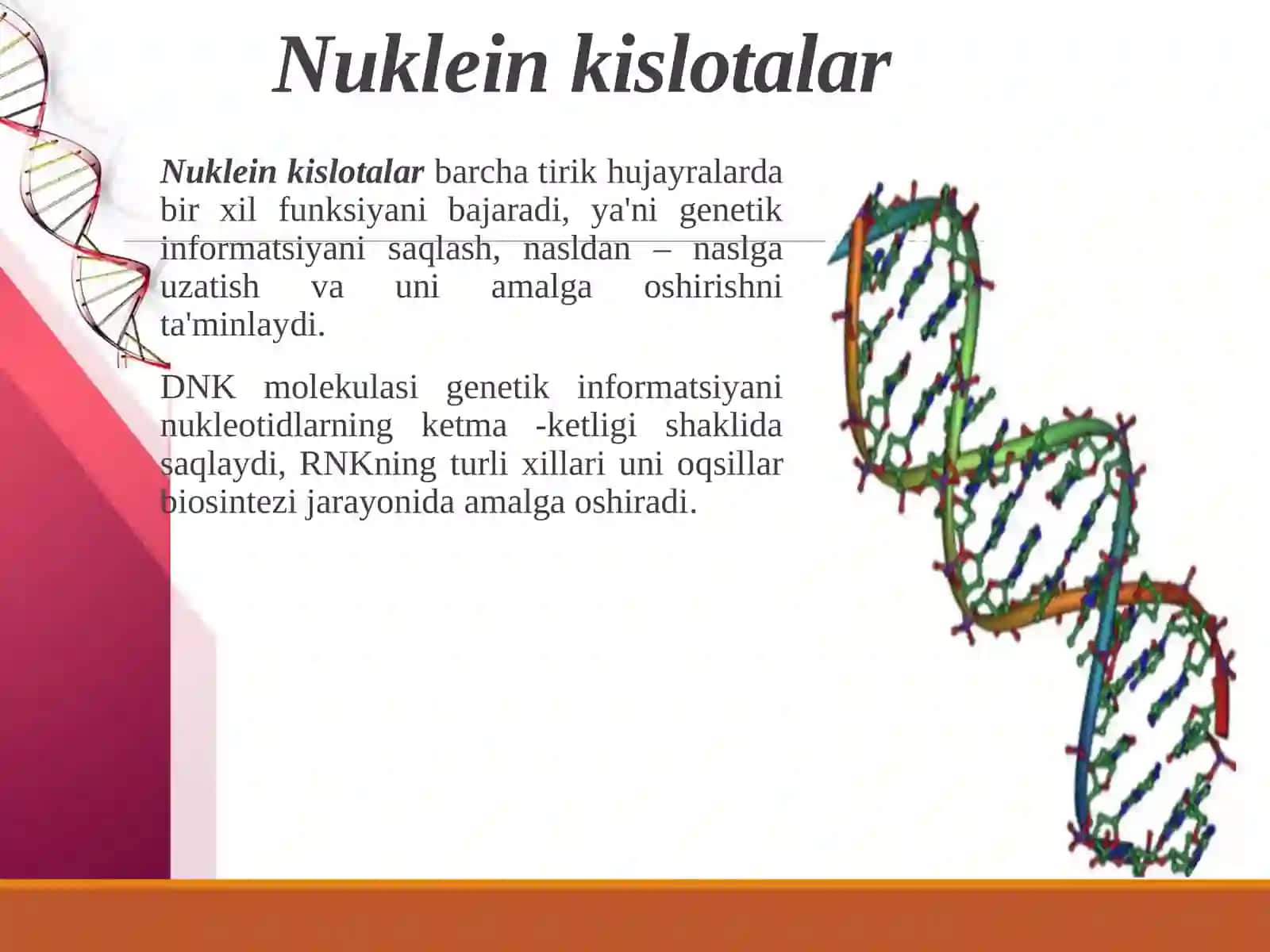 Nuklein kislotalar: tuzilishi, xossalari va biologik funksiyalari 3