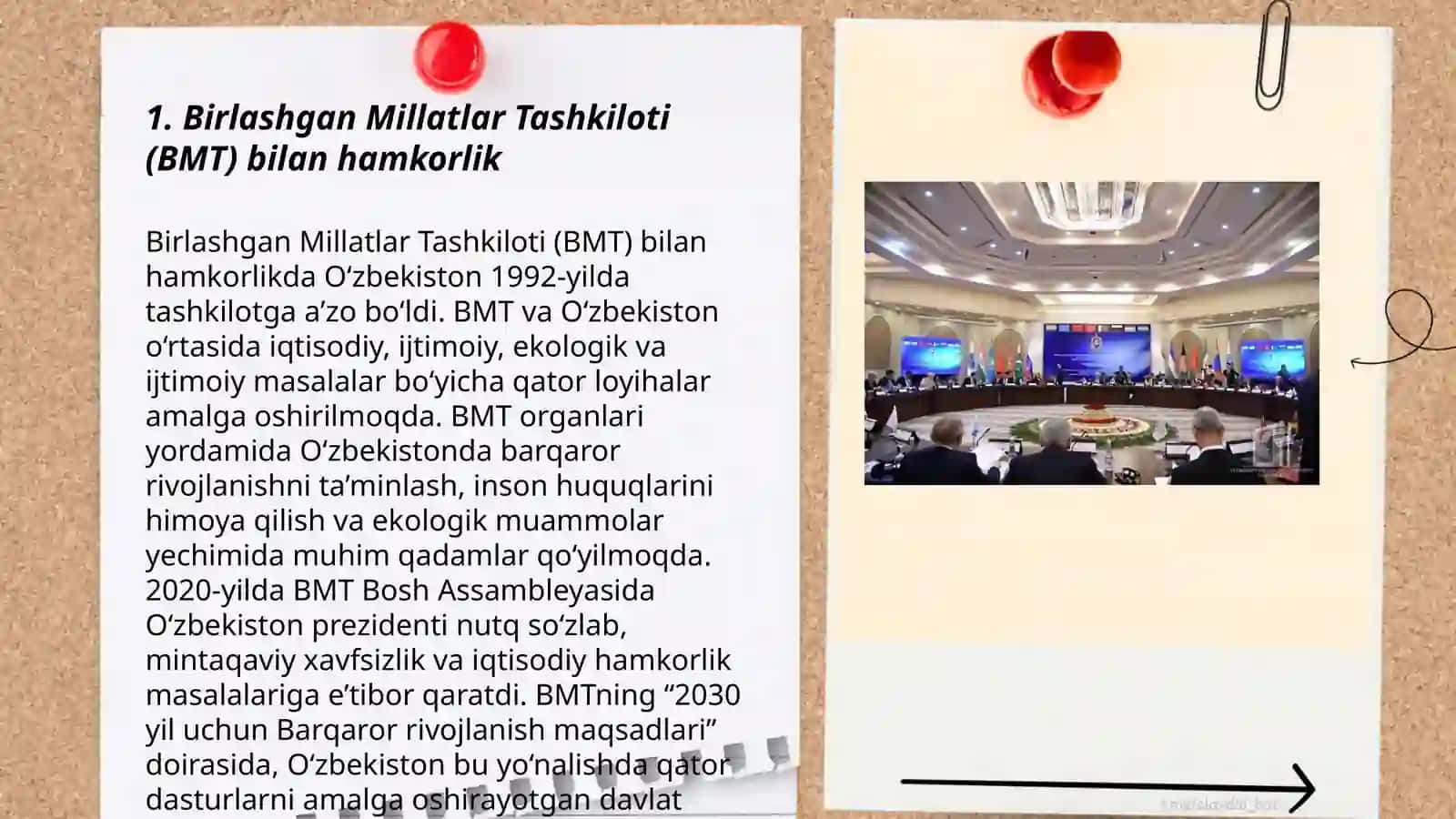 Birlashgan Millatlar Tashkiloti (BMT) bilan hamkorlik 3