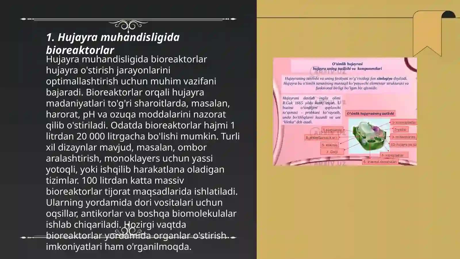 Hujayra muhandisligida bioreaktorlar 3