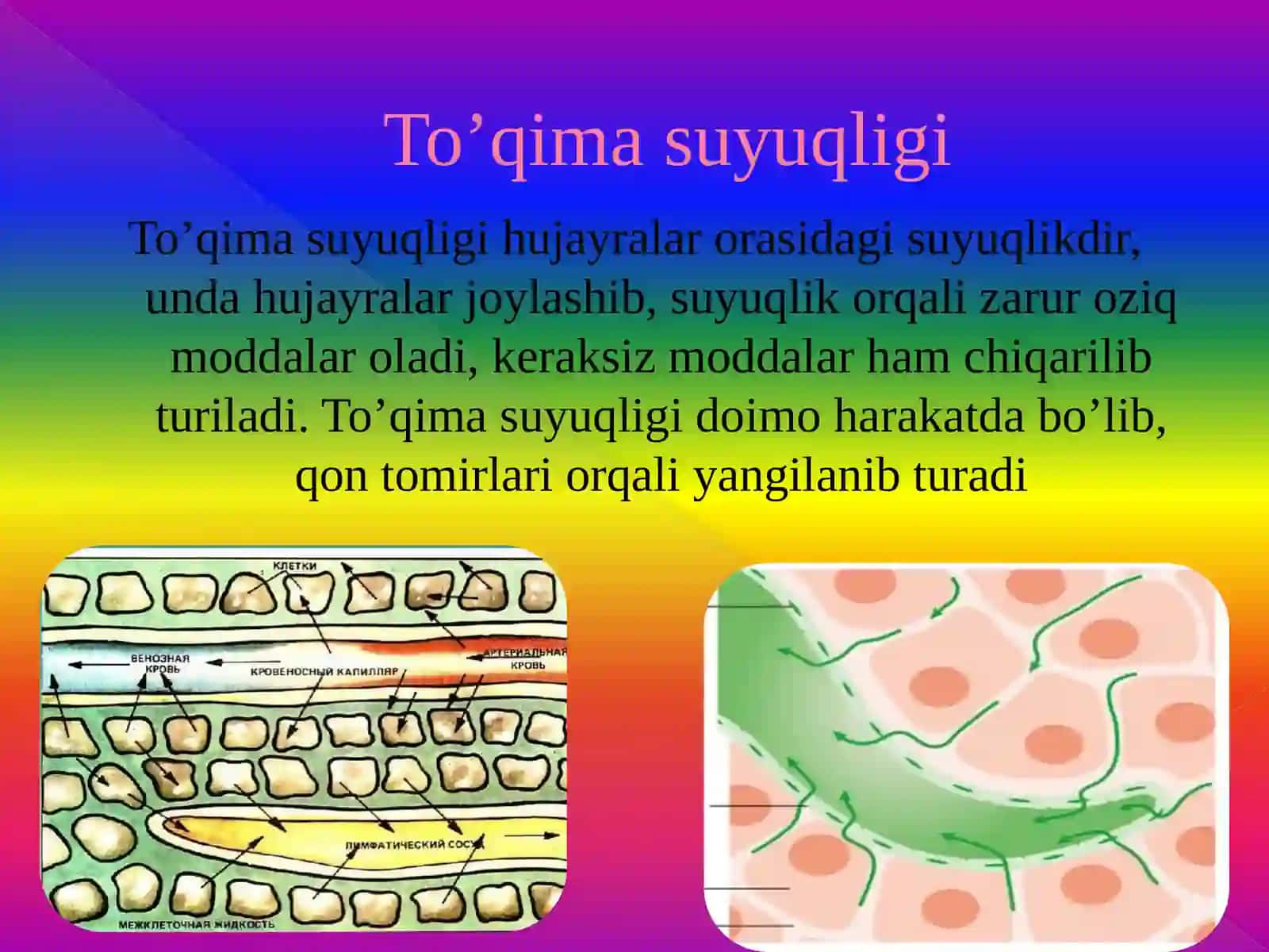 QON VA UNING VAZIFALARI 3