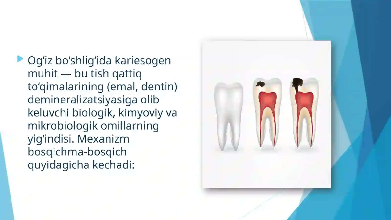Ogʻiz bo'shlig'ida kariesogen muhit mexanizmi 3