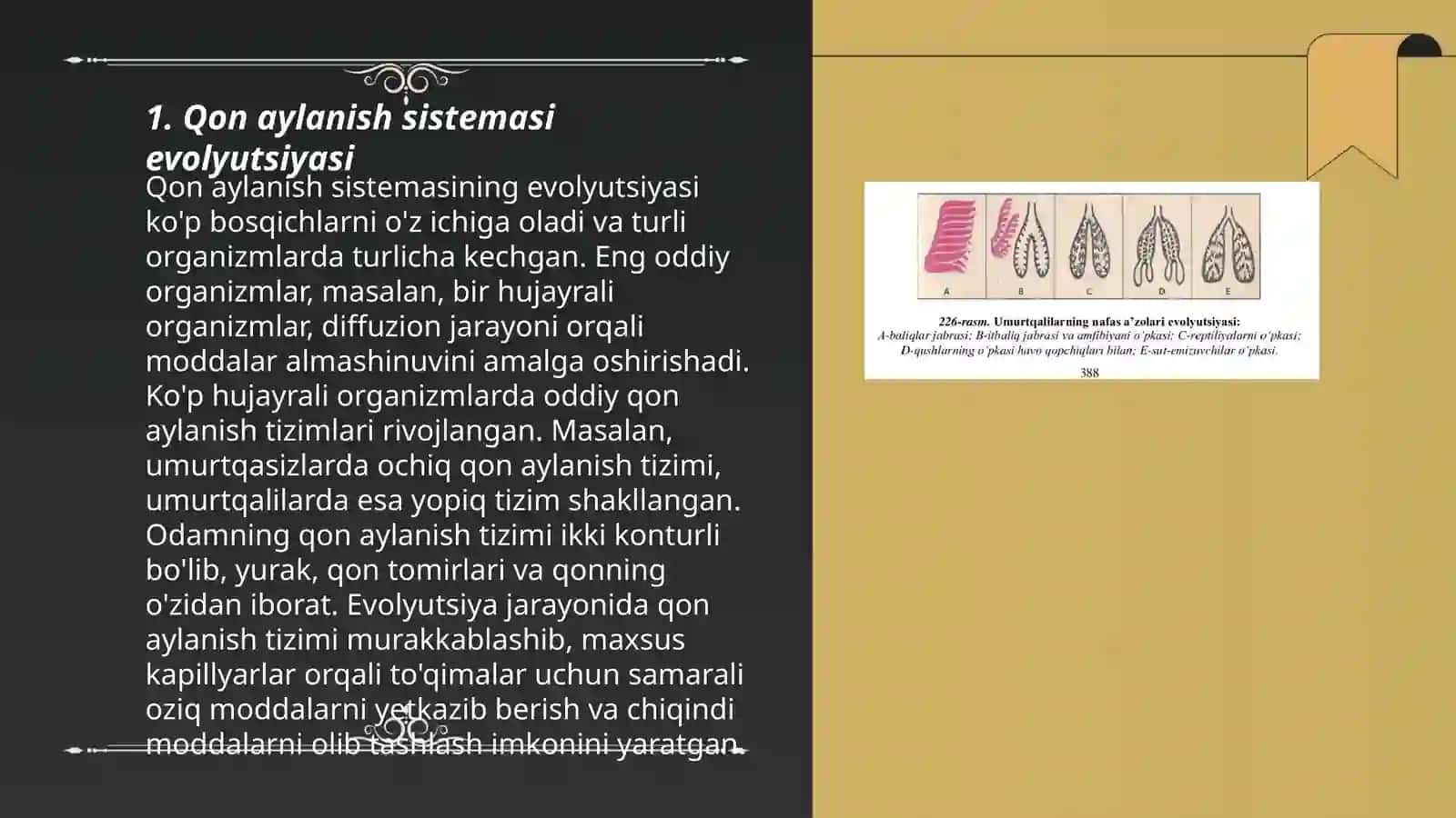 Organlar sistemasi onto-filogenezi: qon aylanish, nafas olish, endokrin, ayirish sistemasi 3