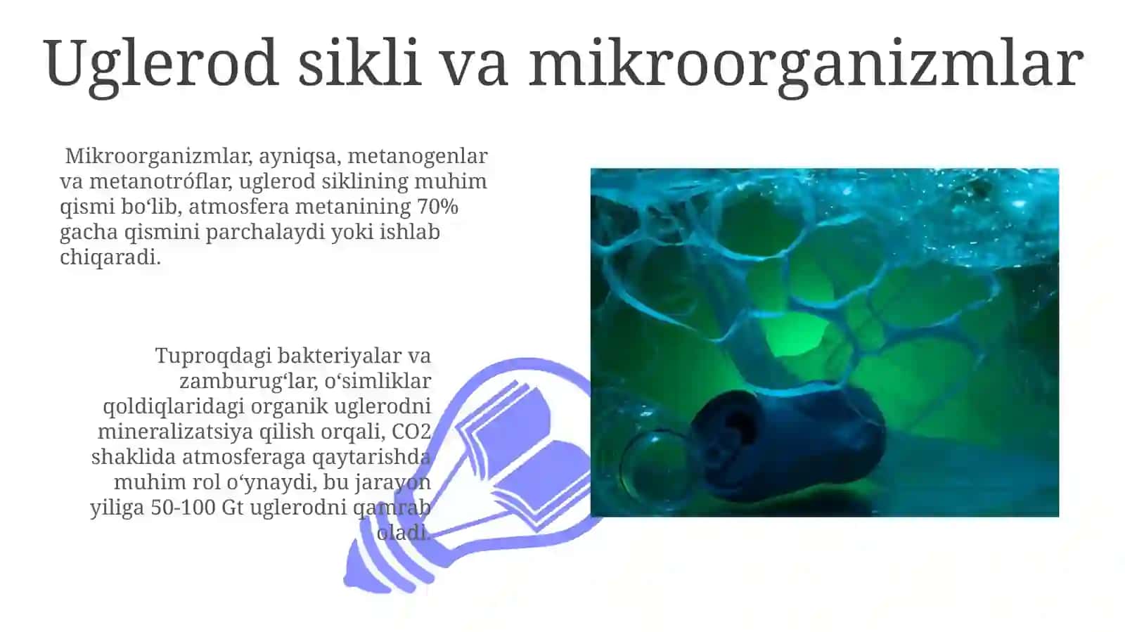 Mikroorganizmlarnig ekologiyasi va tabiatda moddalar almashinuvidagi roli 3
