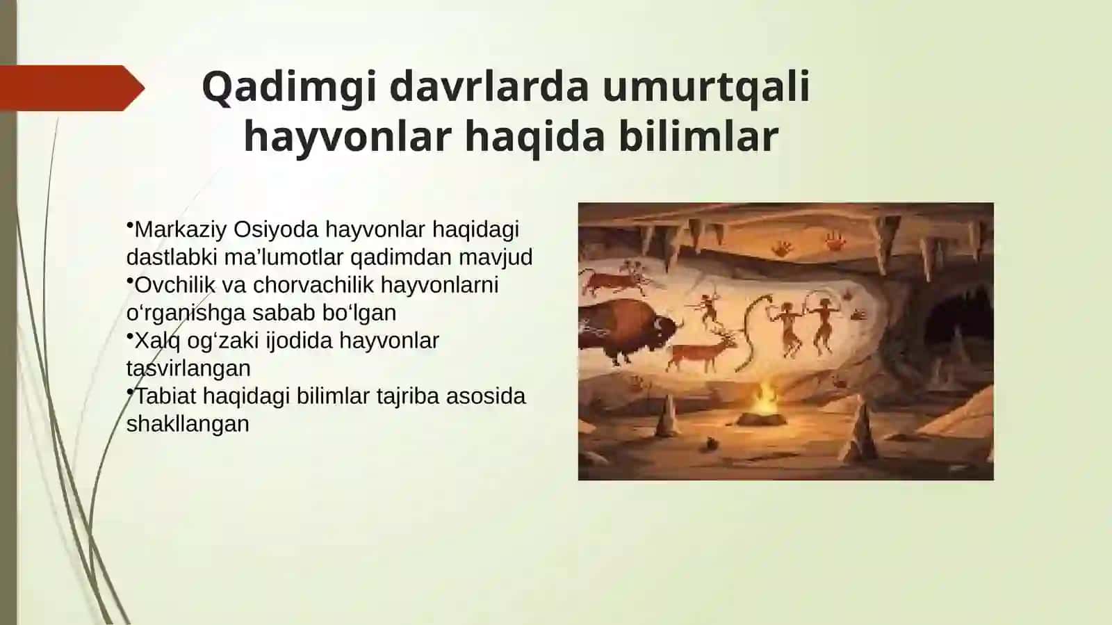 O’zbekistonda umurtqali hayvonlarni o’rganilish tarixi 3