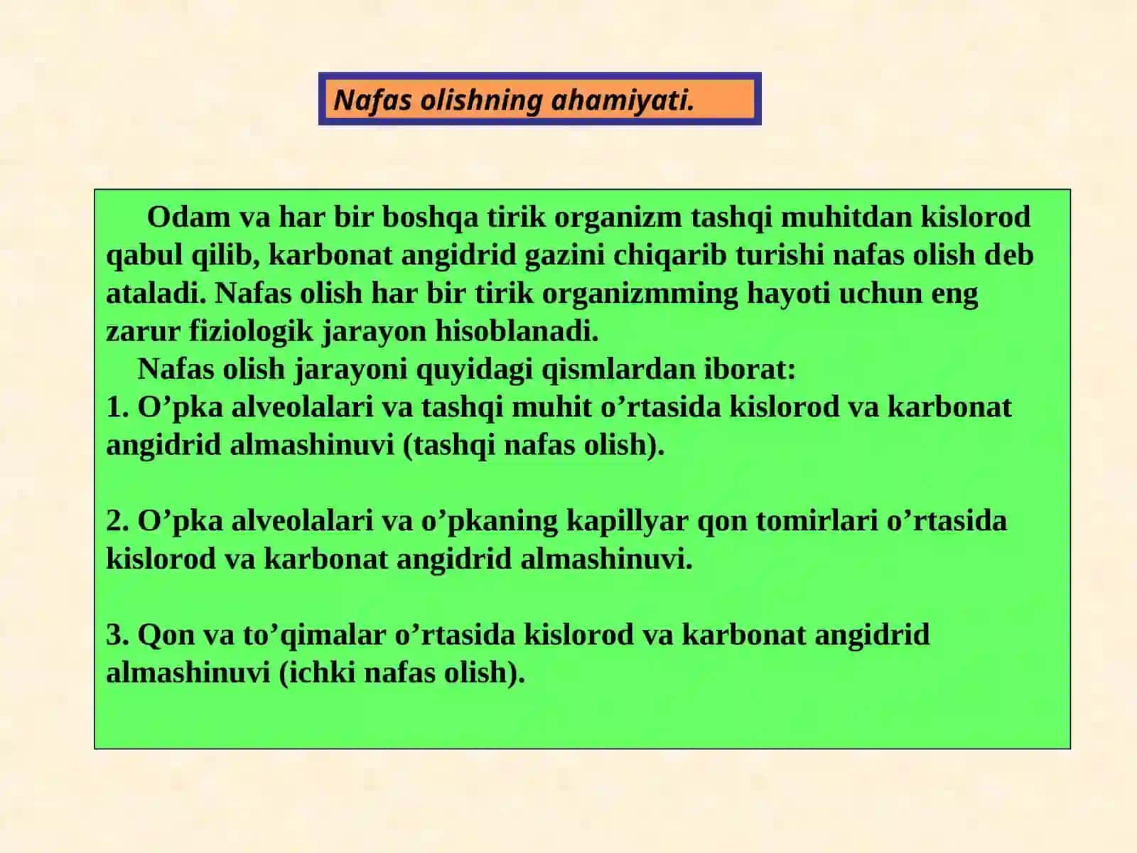 BURUN BO'SHLIG'INING TUZILISHI, FUNKSIYASI, KASALLIKLARI 3