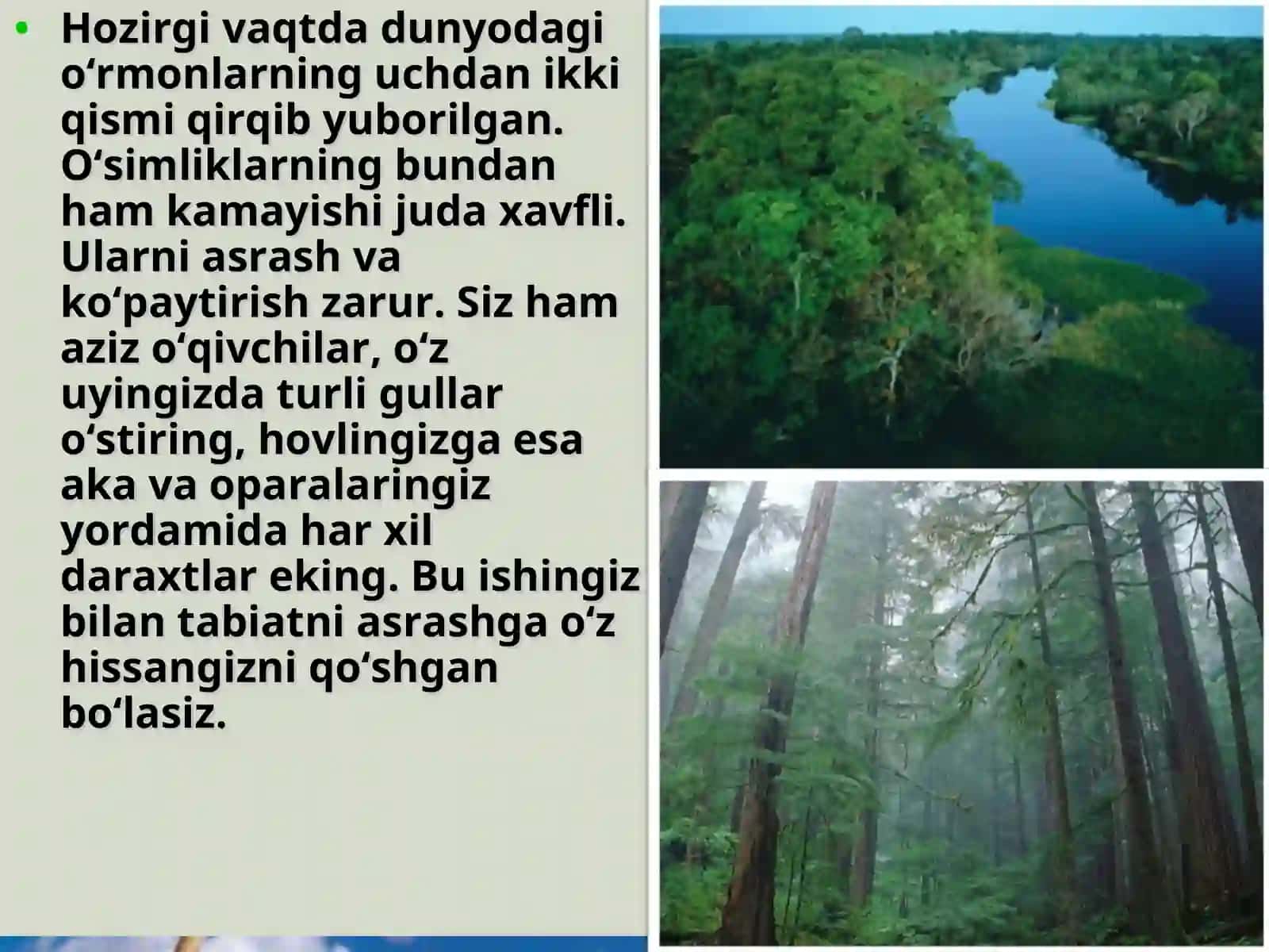 Organizmlarning yer qobiqlariga ta'siri 3