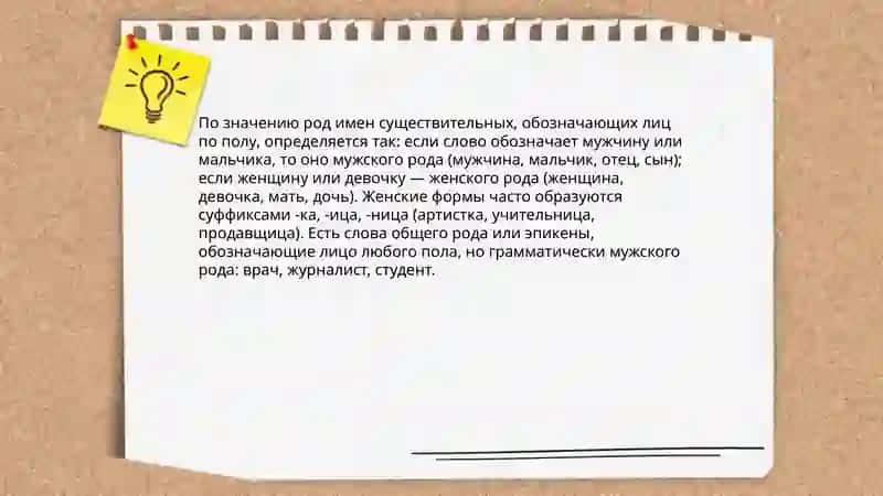 Определение рода имен существительных по значению и окончанию 3