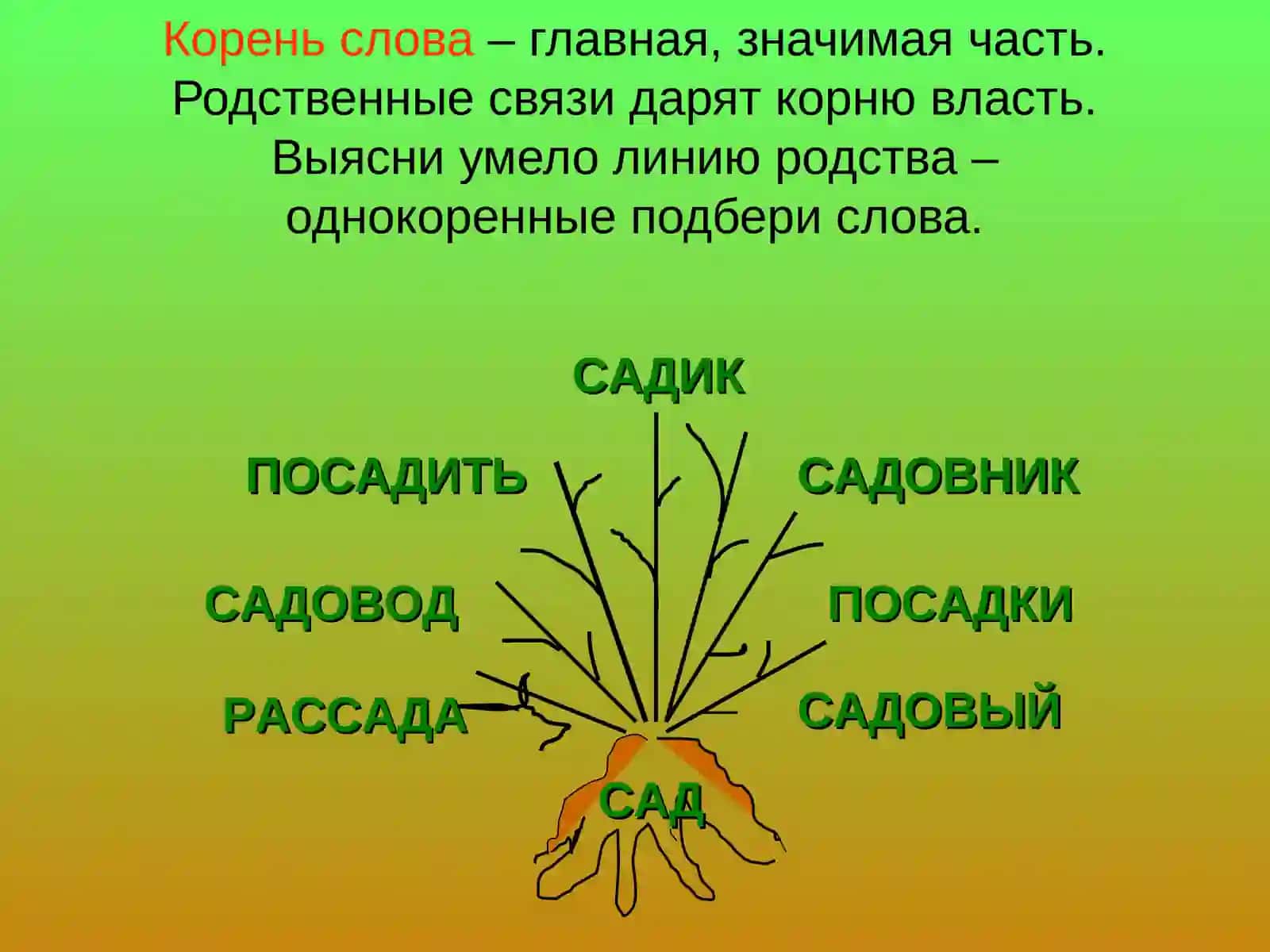 Русский языктема урока:«Морфемный разбор слова» 3