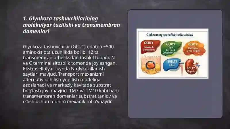 Glyukoza tashuvchilarining tuzilishi, spetsifikligi va klinik ahamiyati 3