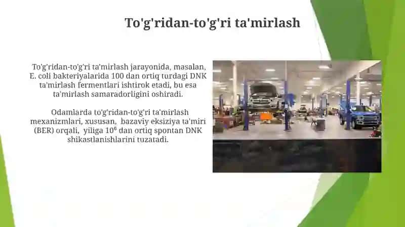 Ta'mirlash fermentlari 3