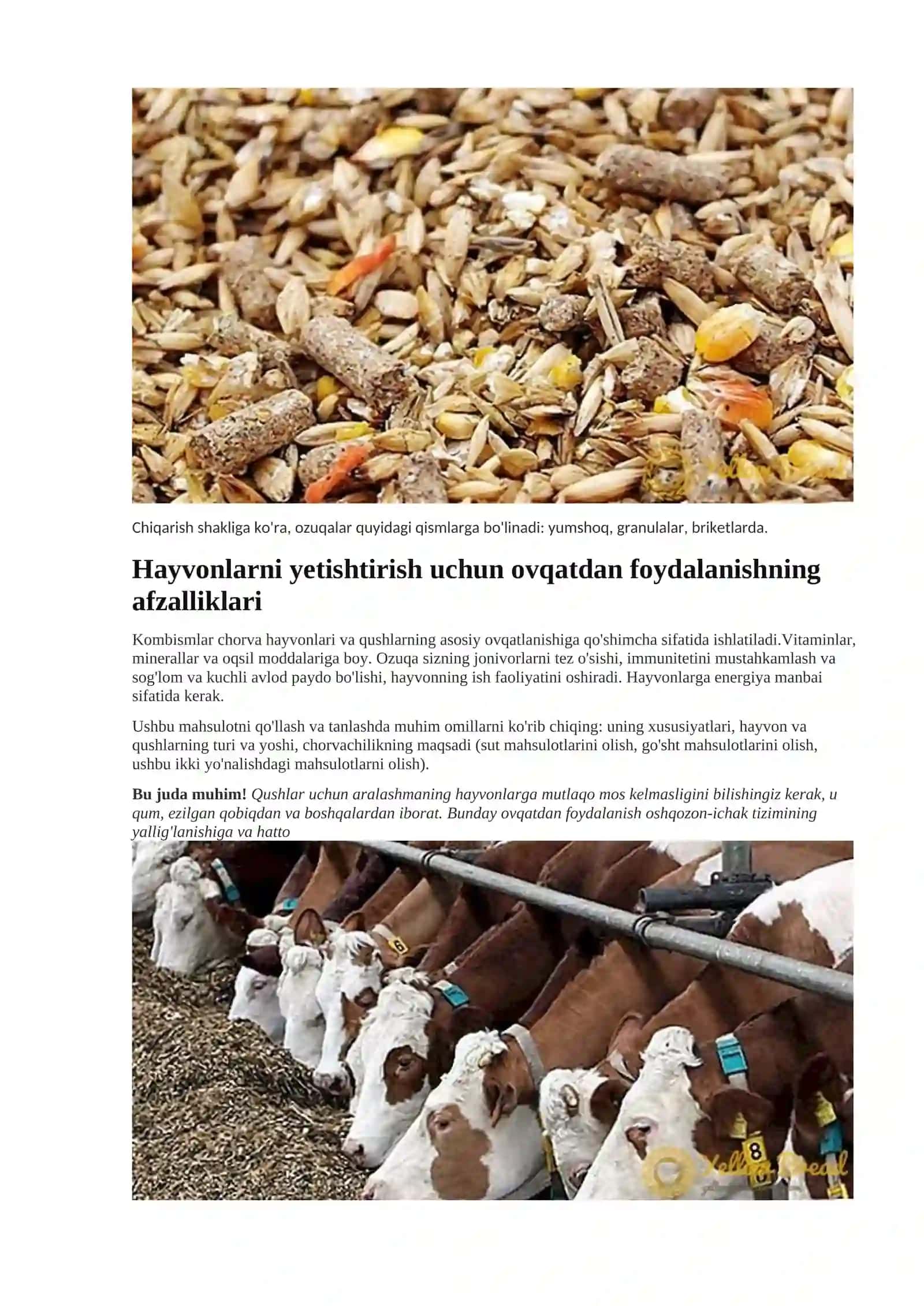 Murakkab yem: uy hayvonlari uchun aralashmaning tarkibi 3
