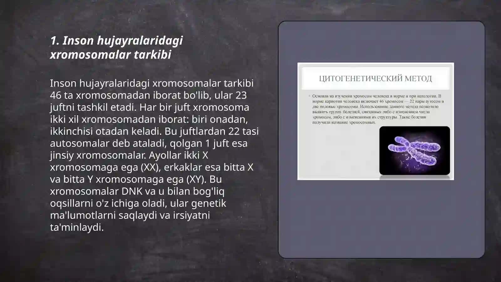 Inson hujayralaridagi xromosomalar tarkibi 3