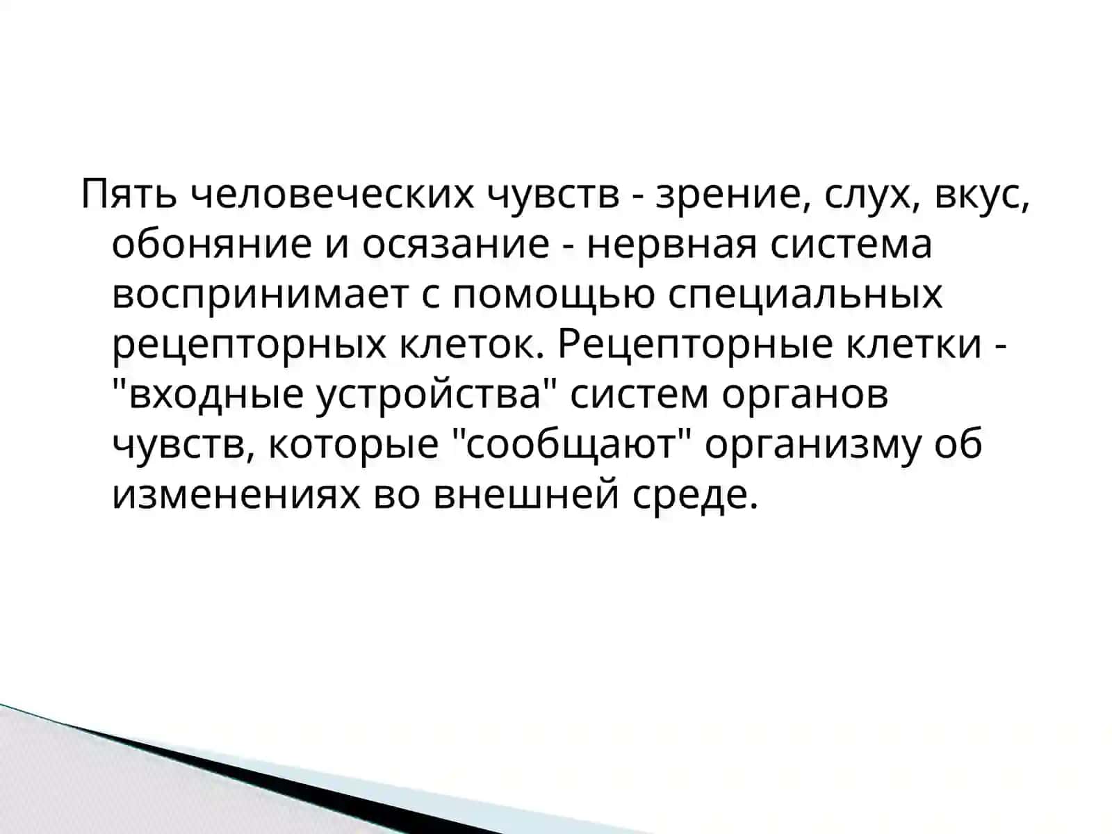 Общая характеристика органов чувств в свете учения об анализаторах. Возрастная гистология, регенерация 3