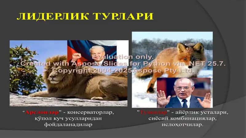 Siyosiy liderlik instituti 3