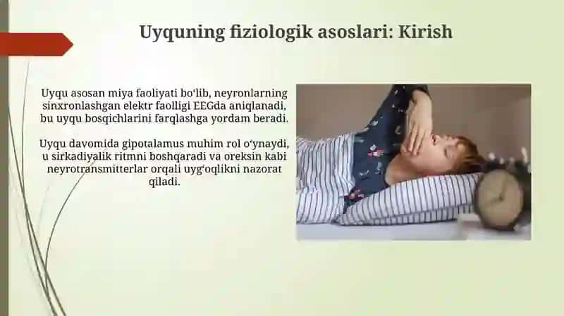 Uyquning fiziologik asoslari 3