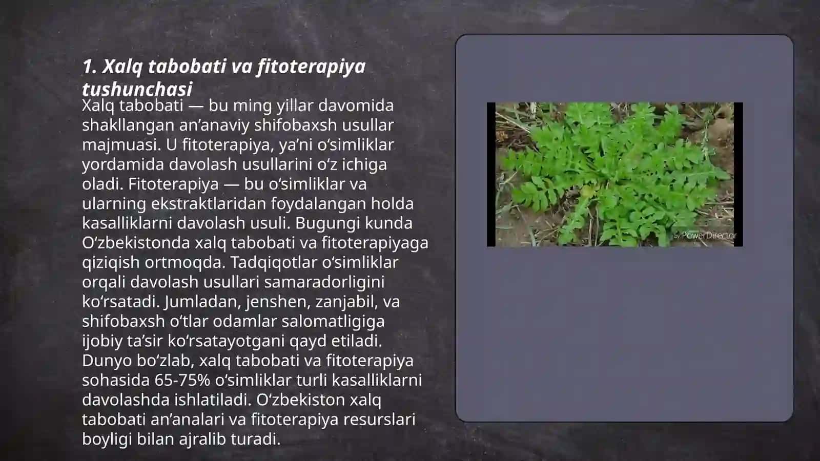 Xalq tabobatida fitoterapiyaning o'rni 3