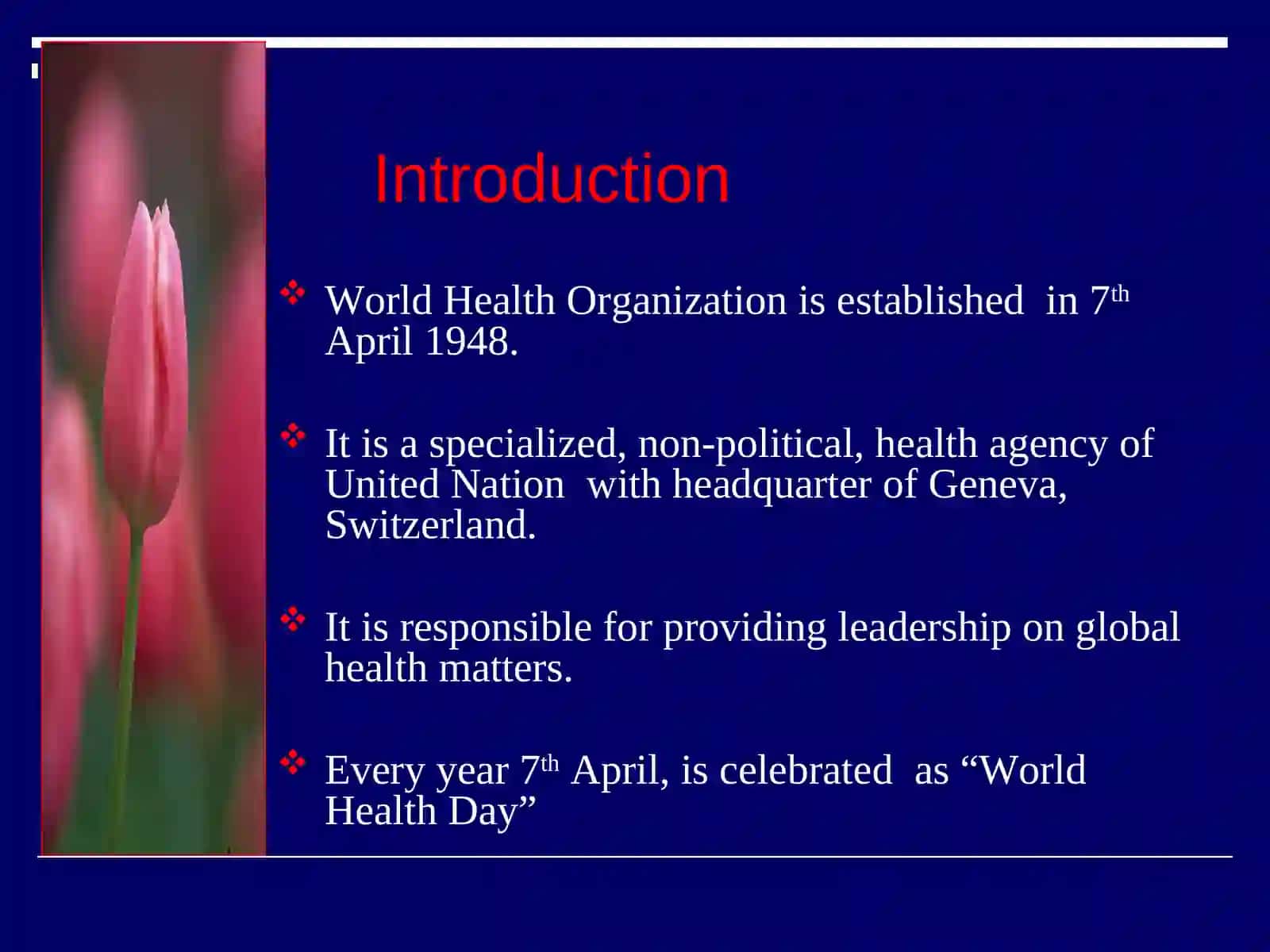 World Health Organization(WHO) 3