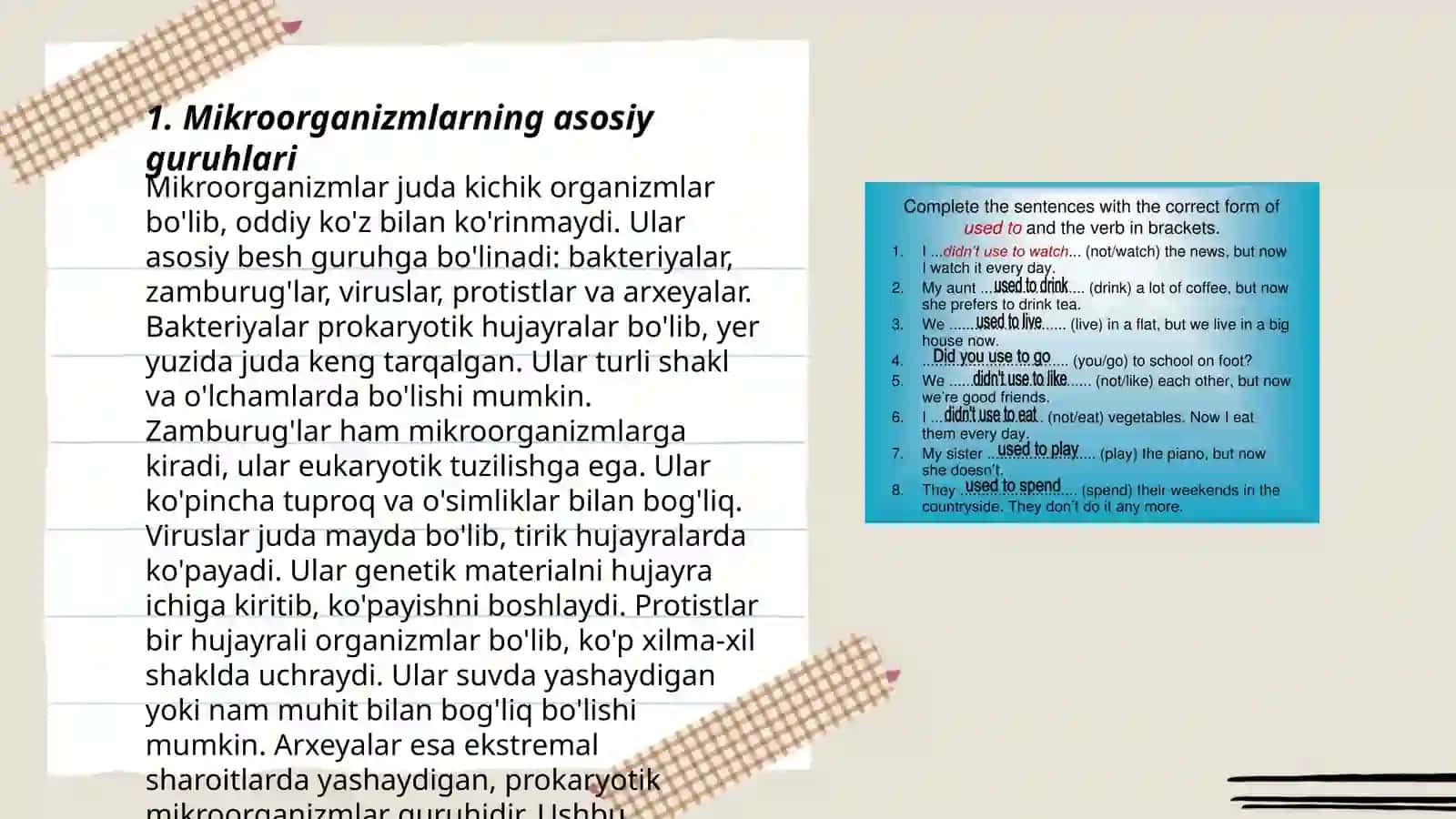 Mikroorganizmlarning asosiy guruhlarining umumiy tavsifi 3