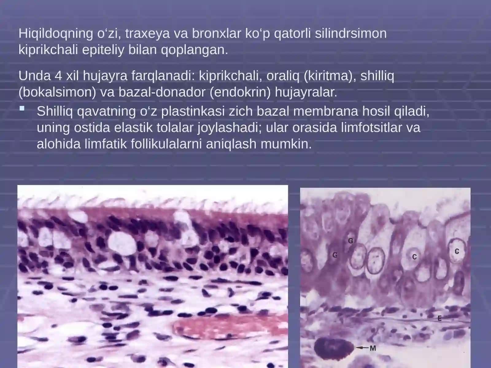 Bronx-o‘pka tizimi kasalliklarininglaboratordiagnostikasi 3