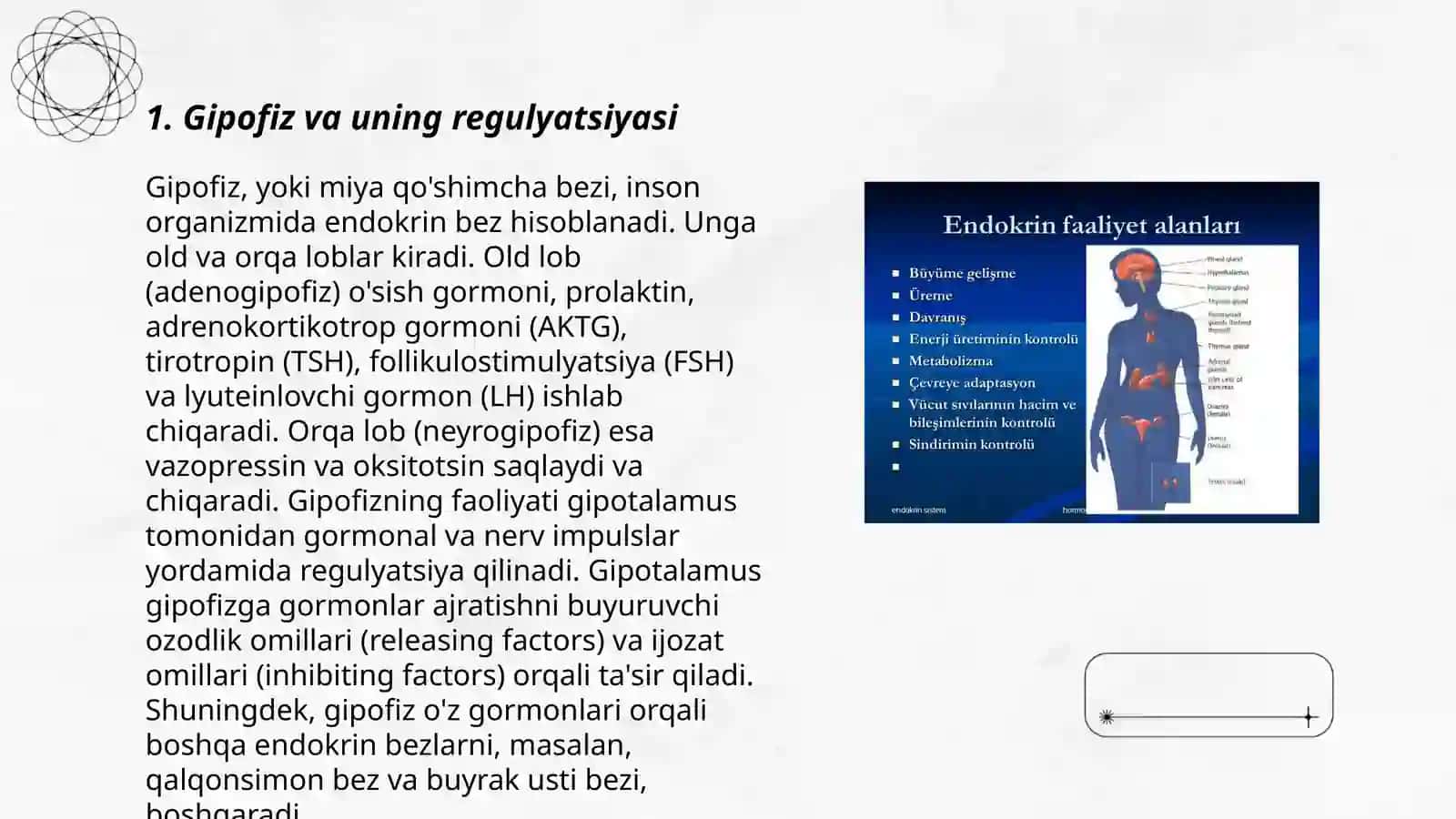 Urug'don endokrin faoliyatining endokrin boshqaruvi 3