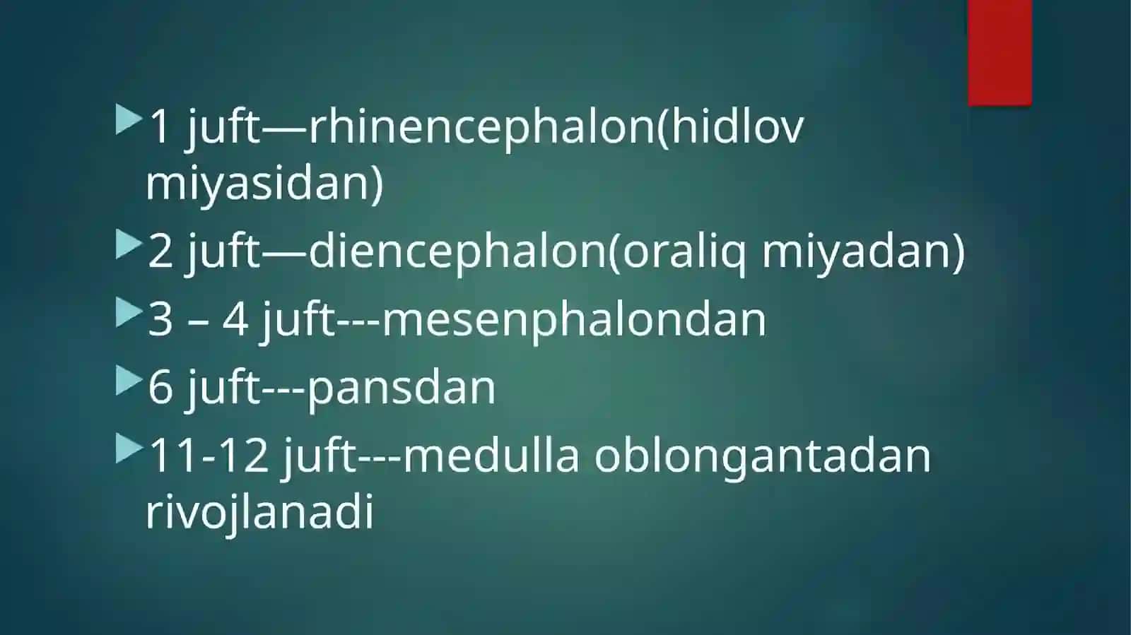 Bosh miya 12 juft nervlari Nervi craniales Anatomical 3