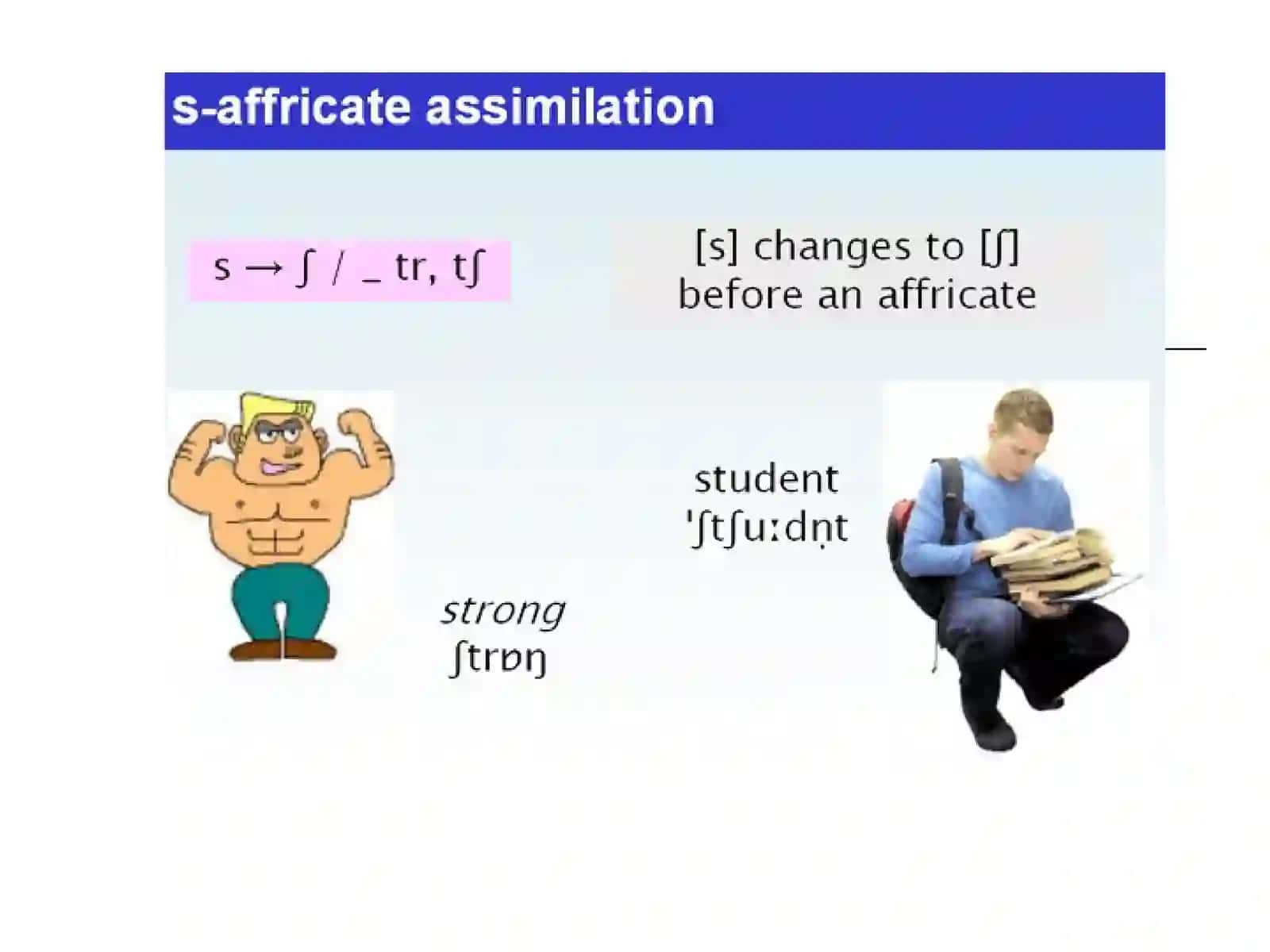 ASSIMILATION 3