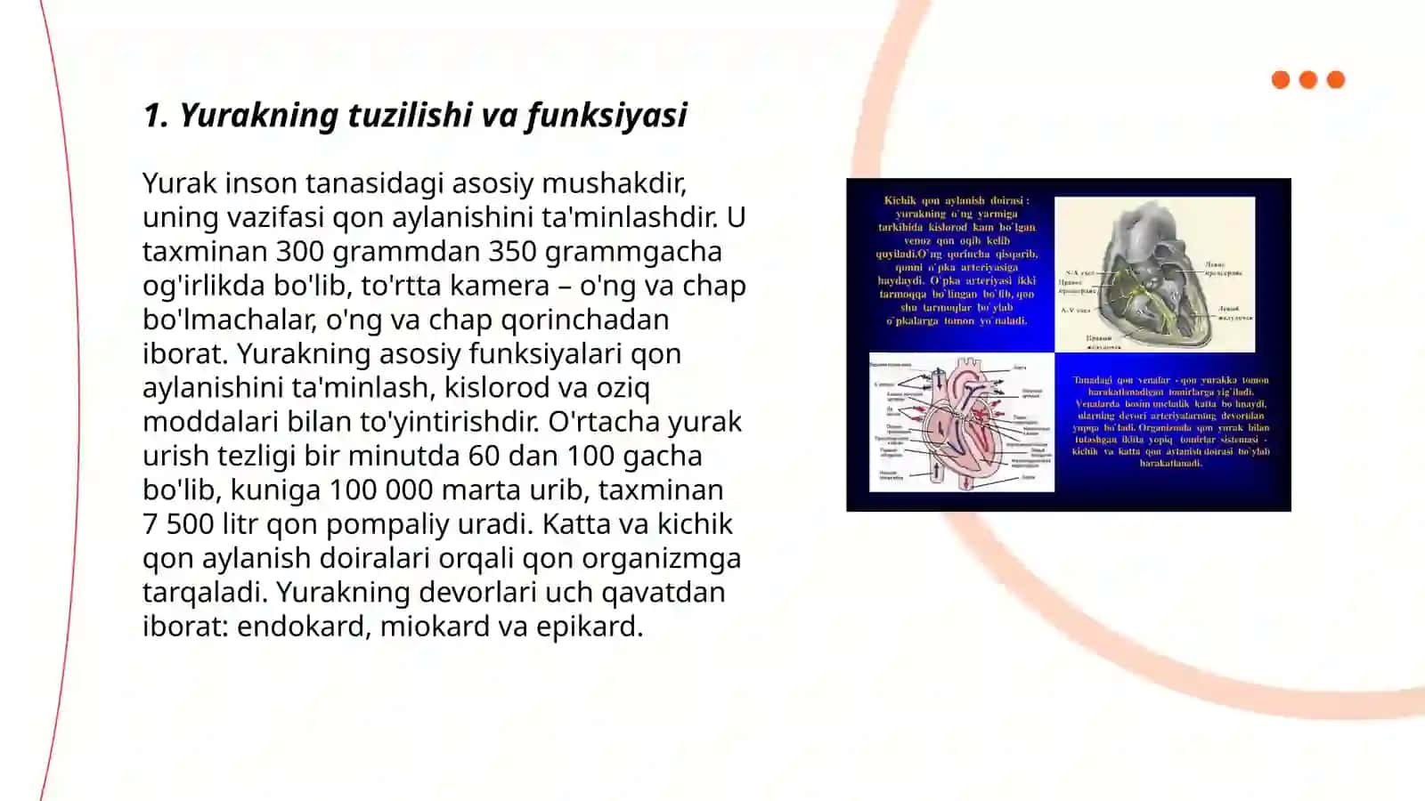 Qon aylanish sistemasi fiziologiyasi va boshqarilishi 3