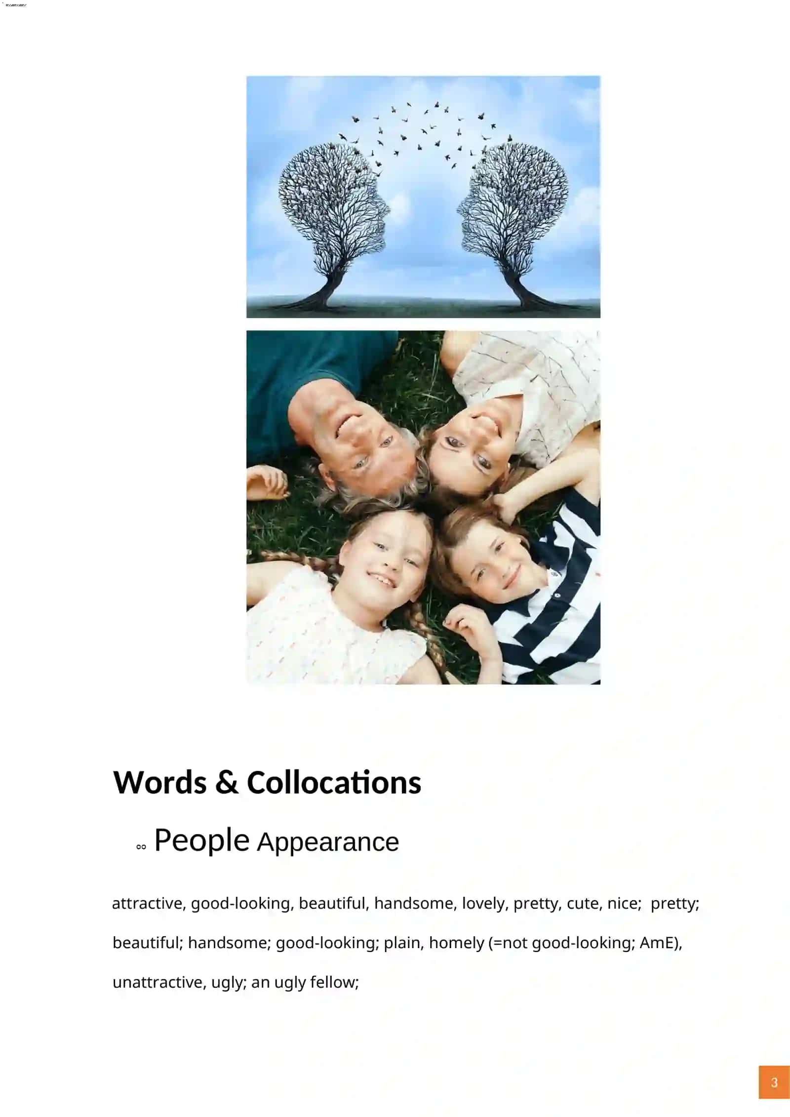 IELTS Vocabulary. Imtihonda ishlatiladigan muhim so'zlar 3