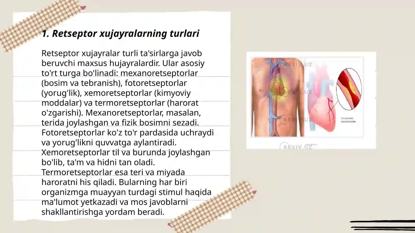 Retsepsiya, retseptor xujayralar, tuzilishi va faoliyatlari, Xemoretsepsiya. Gormonlar va mediatorlar retsepsiyasi 3