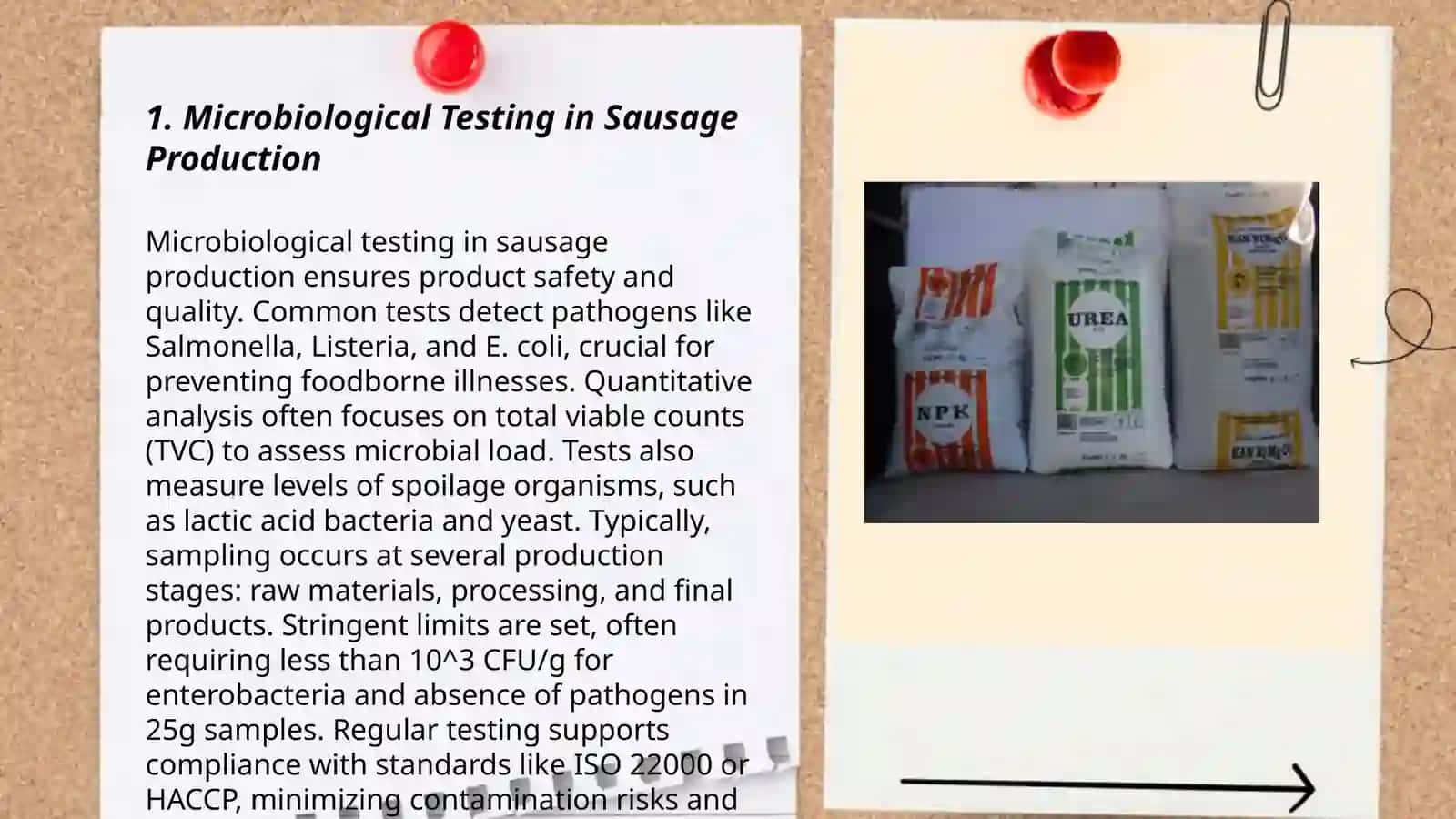 Hygienic quality control of sausages 3