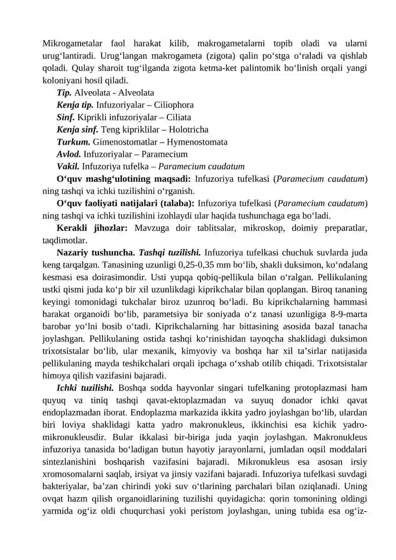 Kolonial xivchinlilarning tuzilishi va ko‘payishi. Infuzoriya tufеlkasi (Paramecium caudatum) ning t 3
