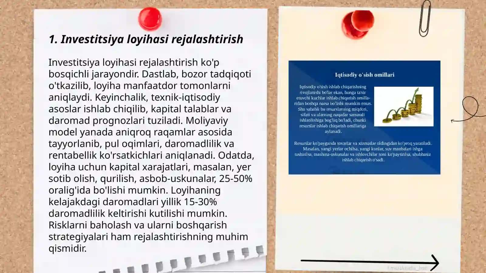 Investitsiya loyihasi, uni boshqarish hamda biznes rejasi va tahlili 3